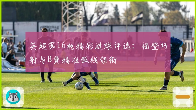 英超第16轮精彩进球评选：福登巧射与B费精准弧线领衔