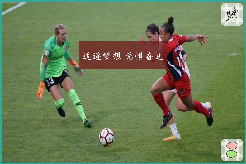 追逐梦想 无惧奋进